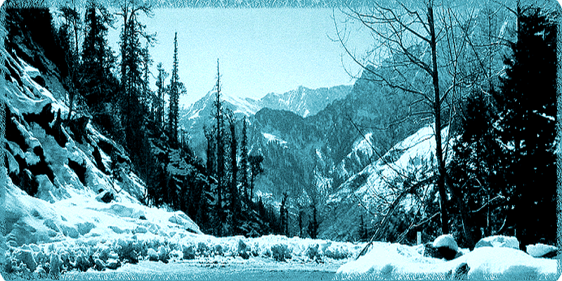 Special Manali Package