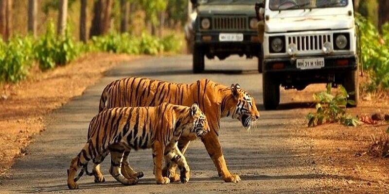 Uttrakhand Honeymoon Tour