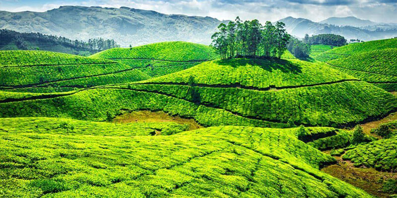 Full Kerala Package