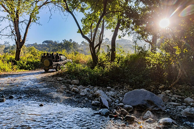 Corbett Wildlife Safari
