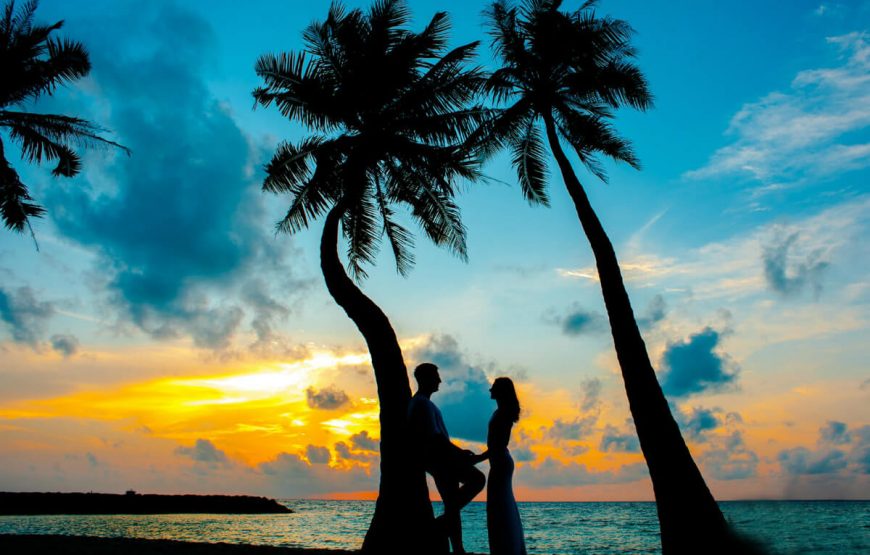 Kerala Honeymoon Tour