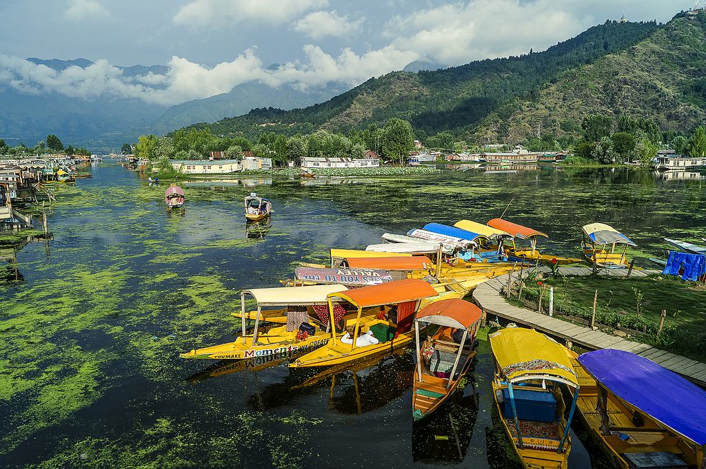 Kashmir Panorama Tour