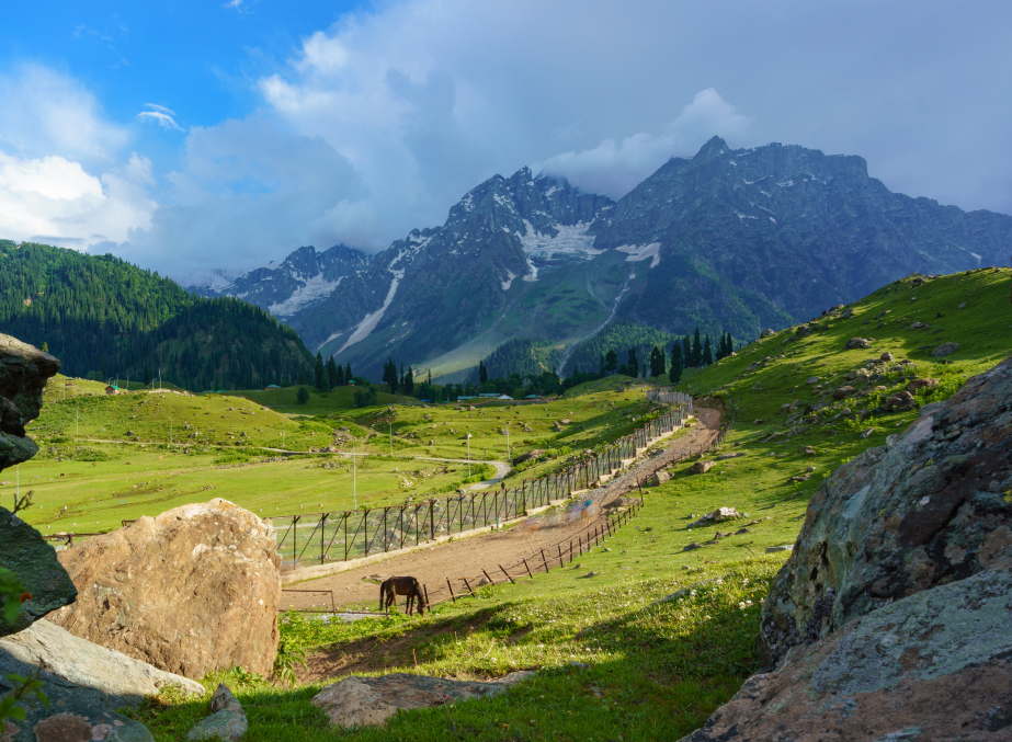 Kashmir Panorama Tour