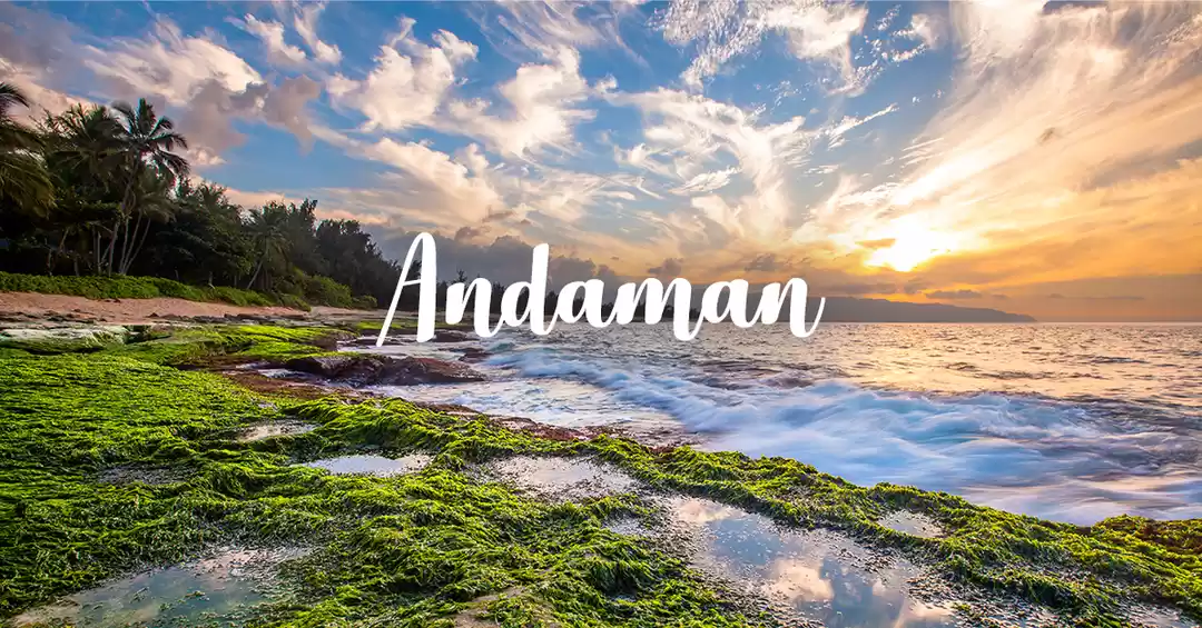Amazing Andaman Tour