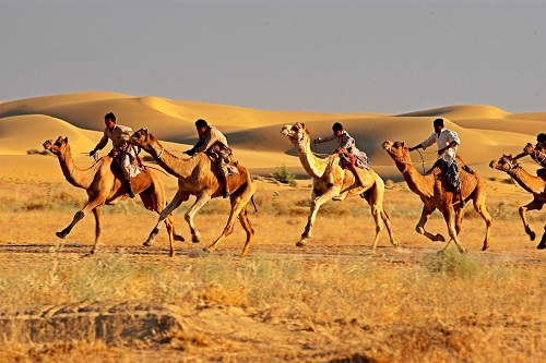 Jaisalmer Festival Tour