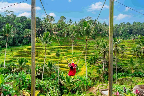 Bali-Gili Trawangan Tour