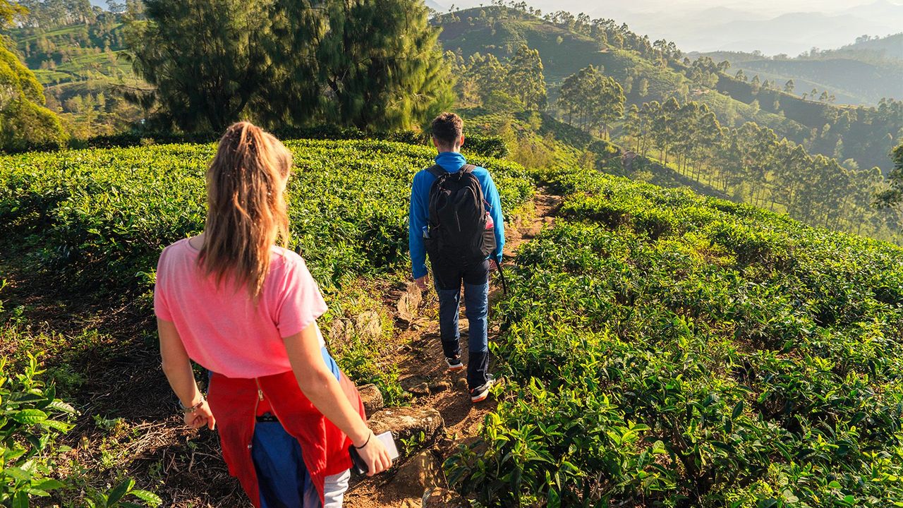 Sri Lankan Cultural Trail