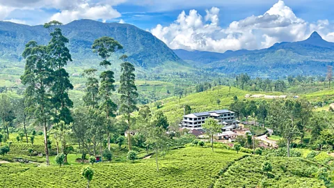 Sri Lankan Cultural Trail