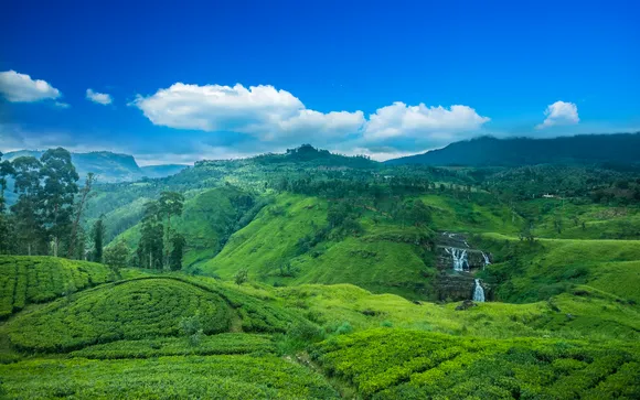 Serene Sri Lanka Tour