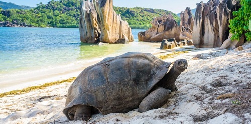 Mauritius with Seychelles