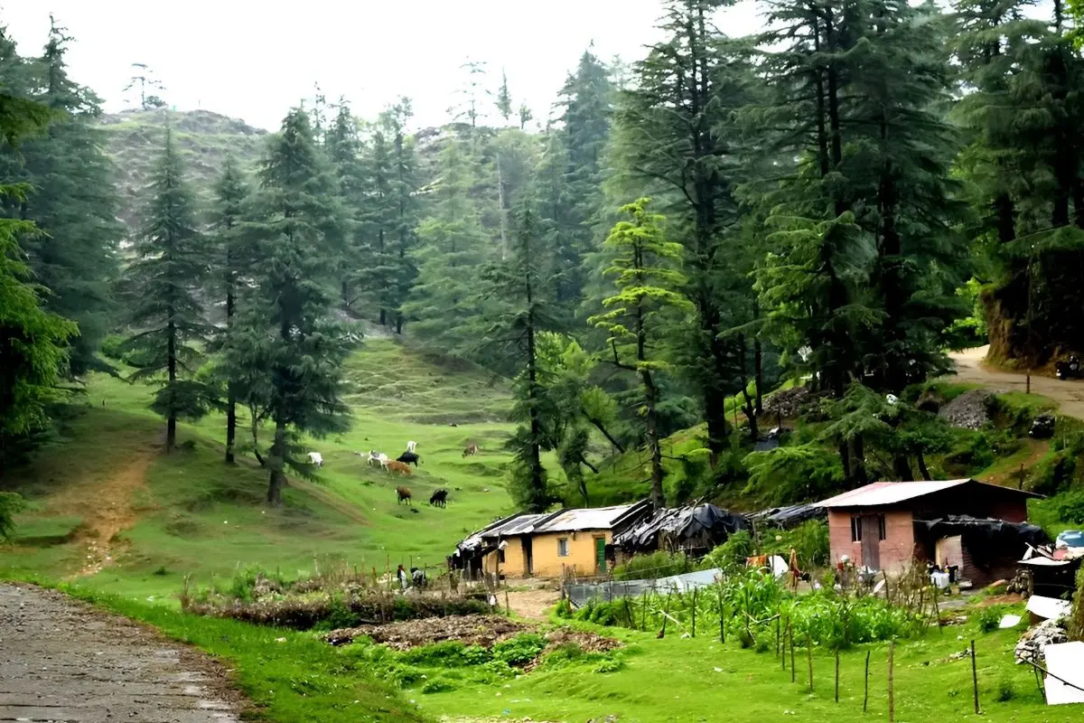 Dehradun 2 Nights