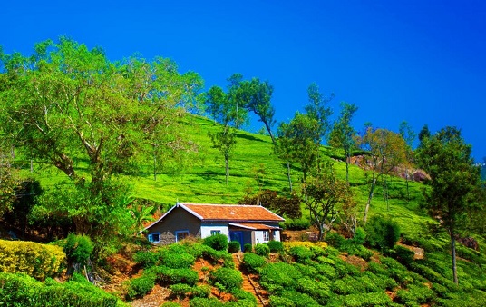 Coonoor 2 Nights