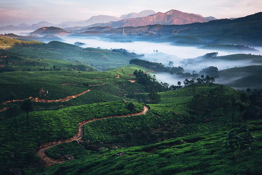 Munnar 2 Nights