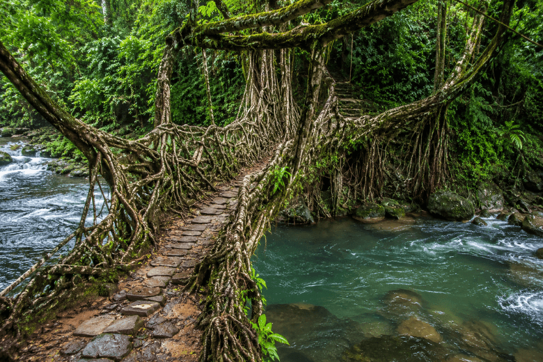 Meghalaya 2 Nights