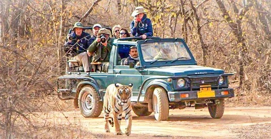 Bandhavgarh Educational Tour Package
